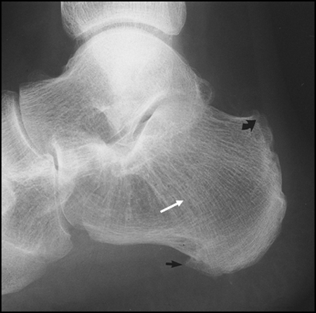 spa-imaging.org